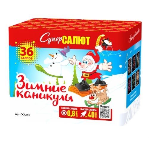 Зимние каникулы  