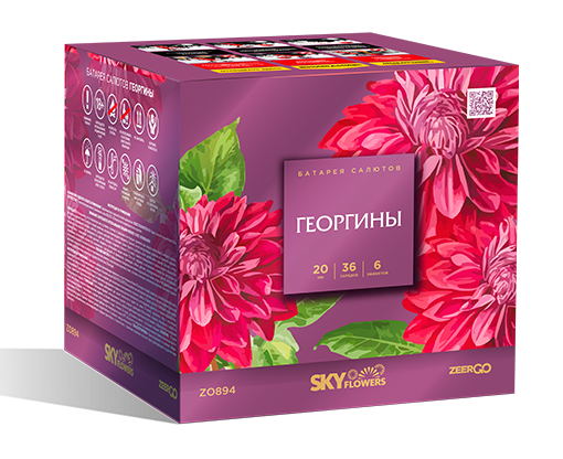 Георгины