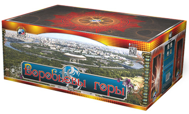 Воробьевы горы