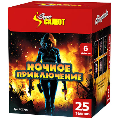 Ночное приключение